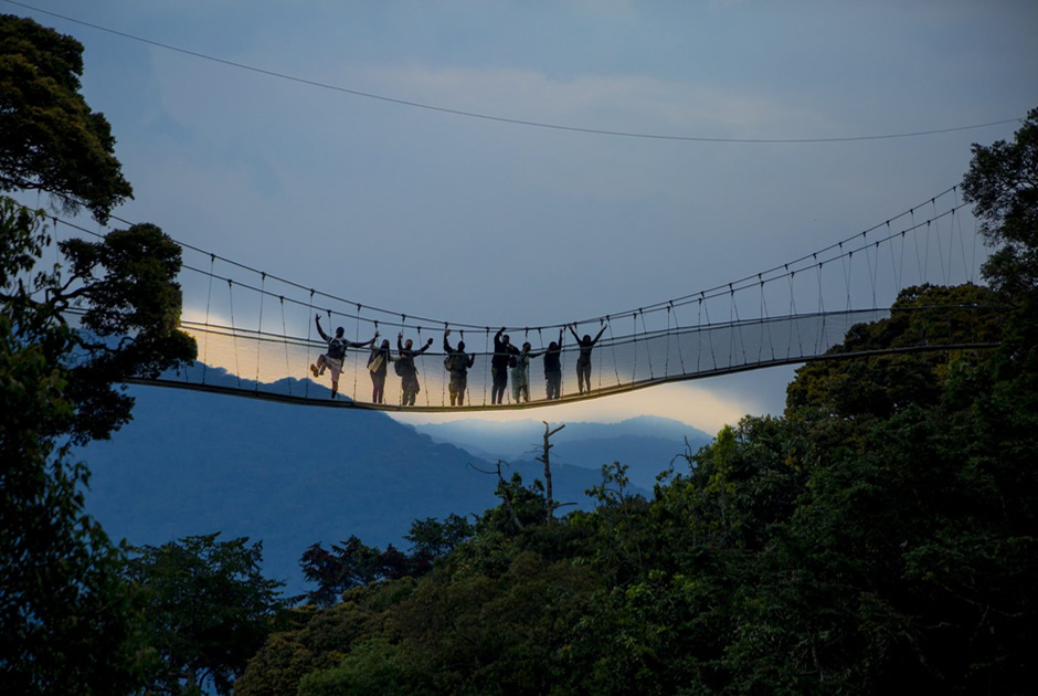 On the Trails of Rwanda’s Nyungwe Forest